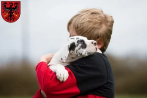 Mehr über den Artikel erfahren Dogge Züchter und Welpen in Neumarkt in der Oberpfalz